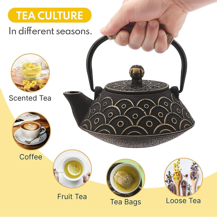 Gusseisen Teekanne mit Infuser, 800ml Teekessel für losen Tee, Asiatisches Teekannen für Herdplatten