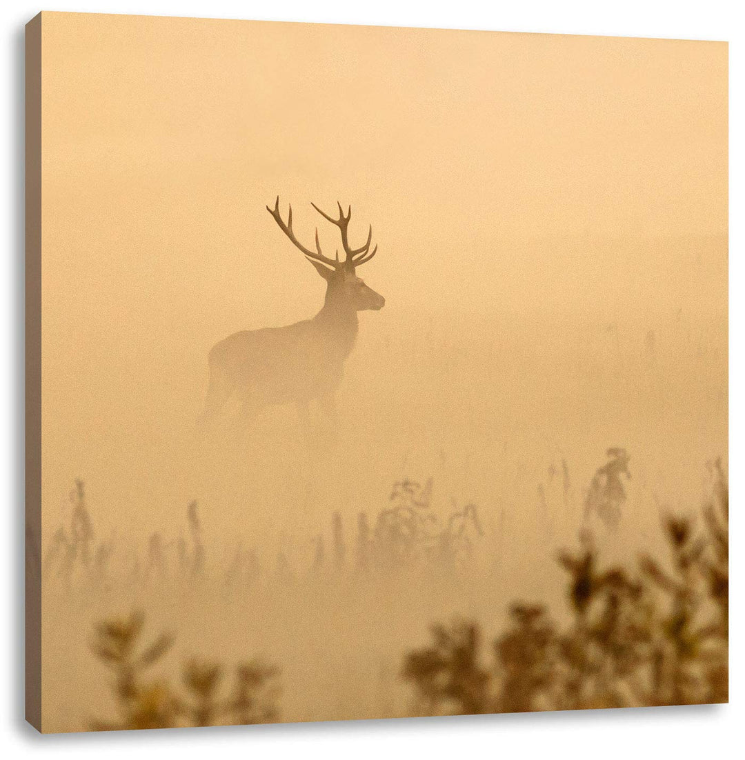 Pixxprint Hirsch im Nebel, Format: 70x70 auf Leinwand, XXL riesige Bilder fertig gerahmt mit Keilrah