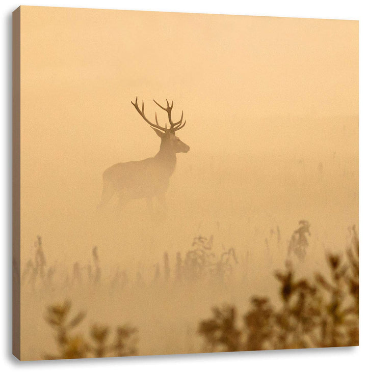 Pixxprint Hirsch im Nebel, Format: 70x70 auf Leinwand, XXL riesige Bilder fertig gerahmt mit Keilrah