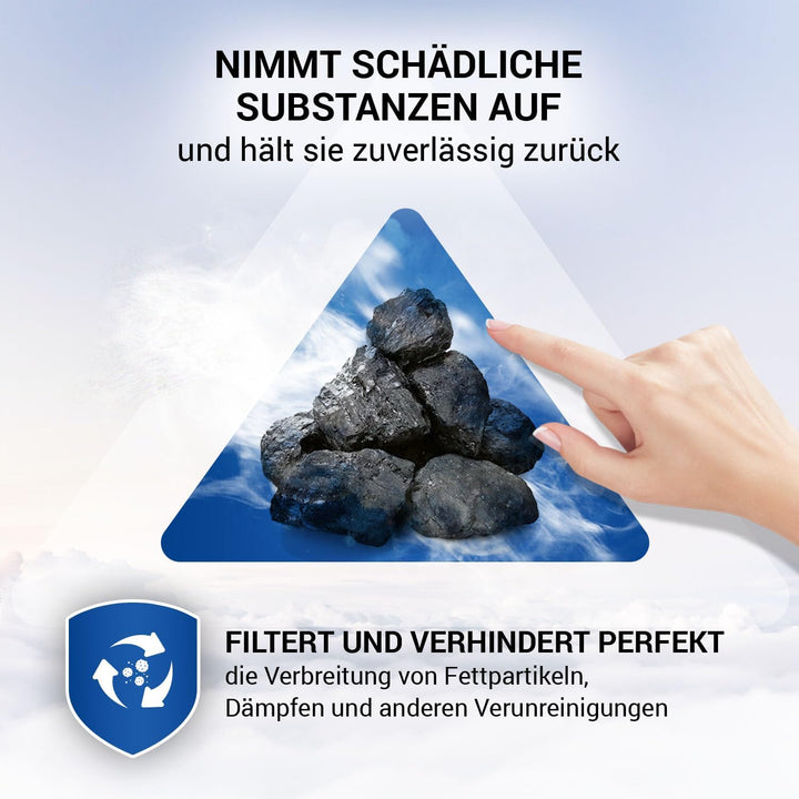 VIOKS Kohlefilter Dunstabzugshaube Filter 300x198mm Ersatz für Siemens LZ45510 11025805 - Aktivkohle