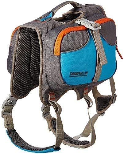 Cesar Millan Hunde-Rucksack (klein), S
