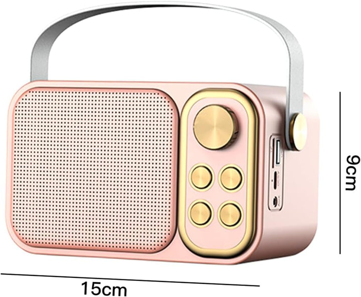 Home Mini-KTV-Set-Audio, kabelloser Bluetooth-Lautsprecher, Mikrofon, Mikrofon-All-In-One-Gerät, Blu