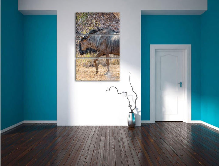 Pixxprint Kaffernbüffel in der Savanne 3-Teiler Leinwandbild 120x80 Bild auf Leinwand