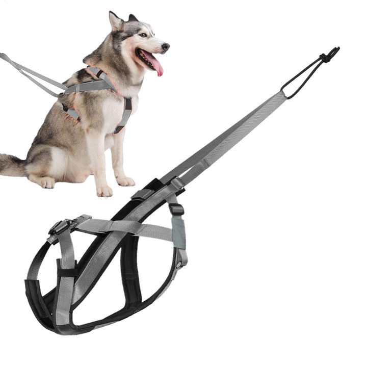 Zuggeschirr für Hunde | Reflektierendes Laufgeschirr für Hunde – Verstellbarer Gurt für Übung, Sport
