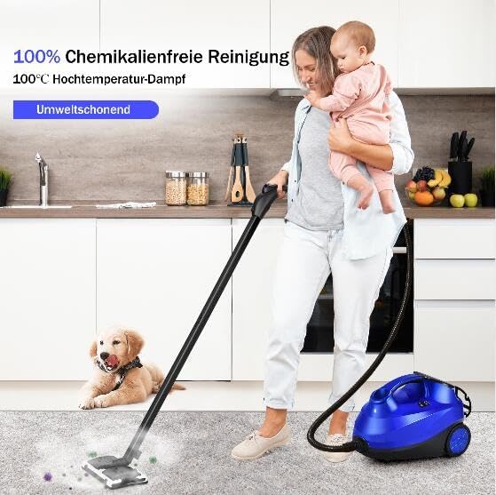 GOPLUS Dampfreiniger, Dampfdruck: max. 4,0 bar, variabler Dampf, Aufheizzeit: 5 Min., Leistung: 2000