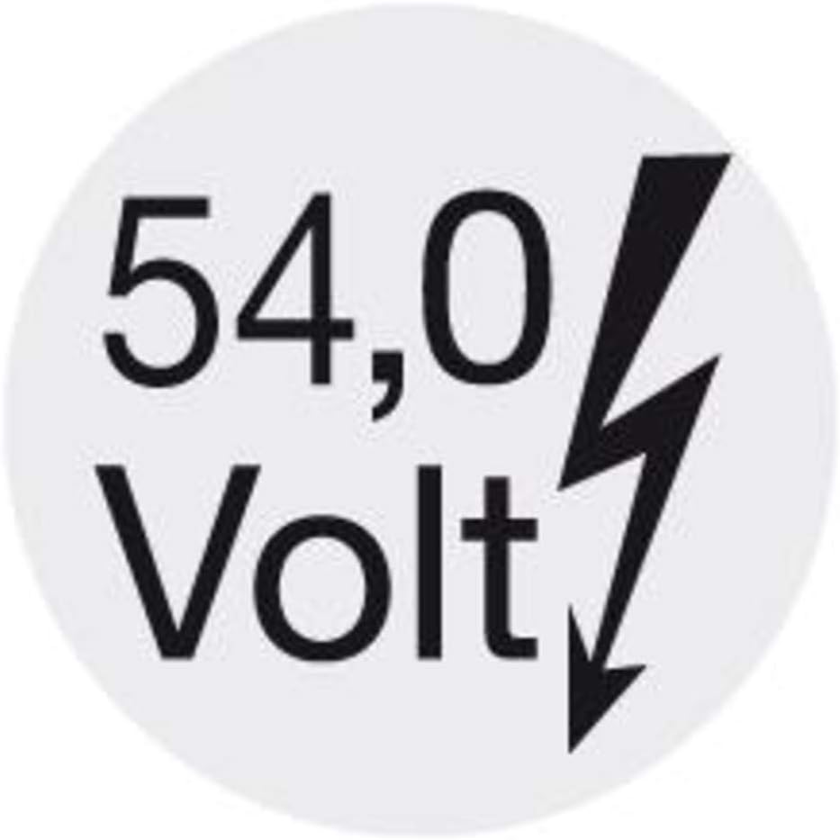 Akku-Geblaese, 54V, Basisv