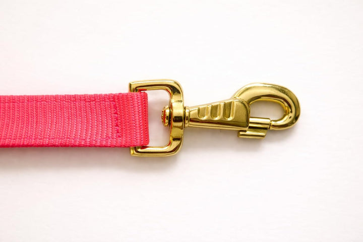 Reinecke Equestrian Premium Leuchthalfter Reflexhalfter Sicherheitshalfter Stallhalfter Weidehalfter