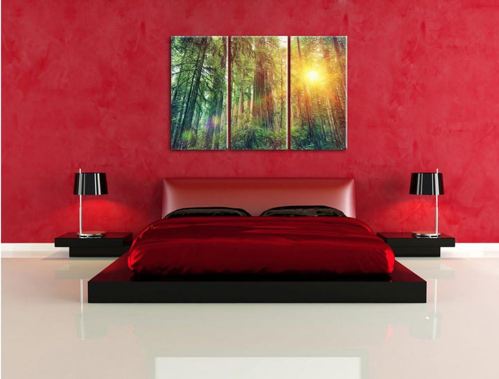 Pixxprint Wald bei Sonnenlicht / 3-Teilig/Gesamtmass 120cm Leinwandbild bespannt auf Holzrahmen/Wand