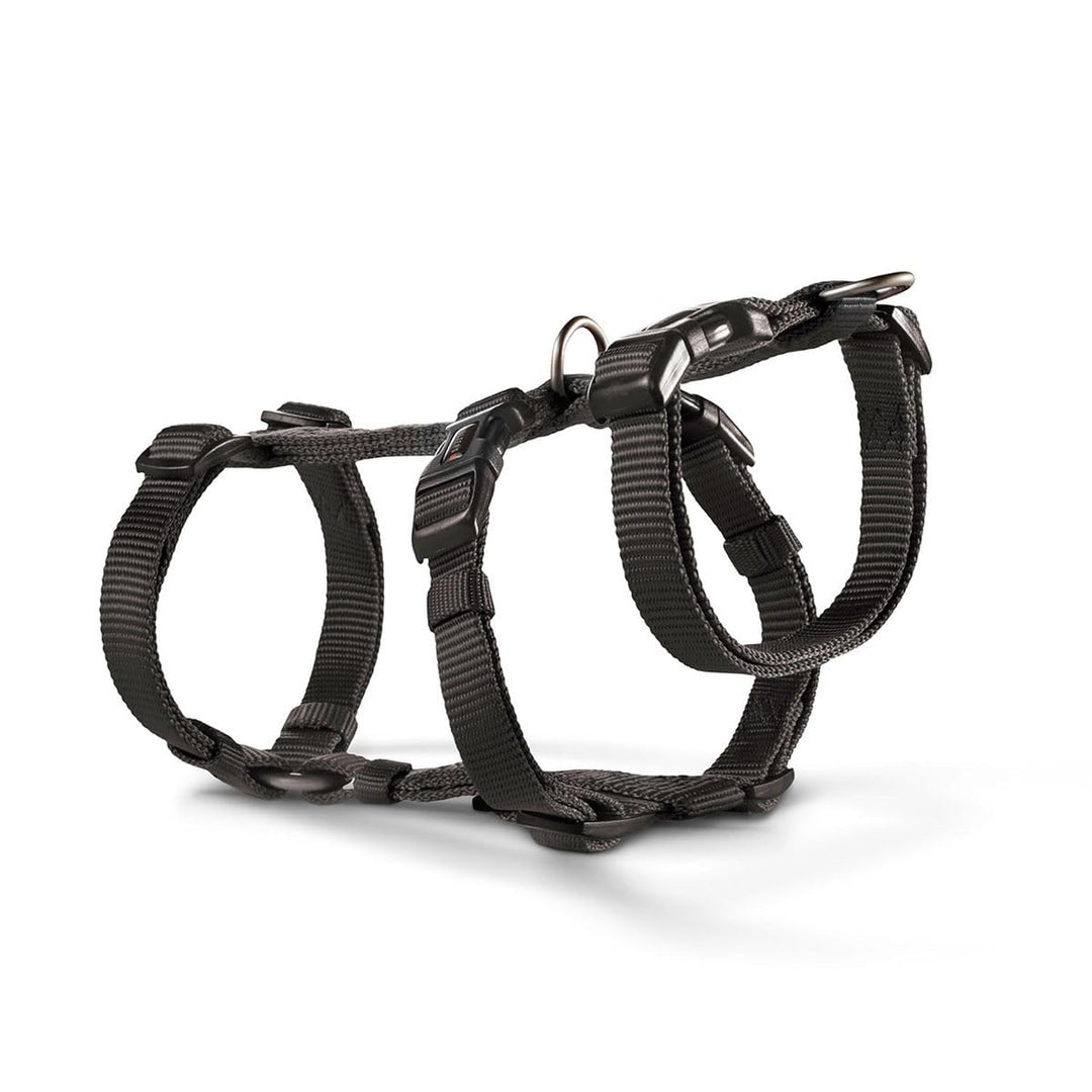 Wolters Geschirr Professional No Escape, Grösse:S 30-40 cm, Farbe:schwarz S 30-40 cm schwarz, S 30-4