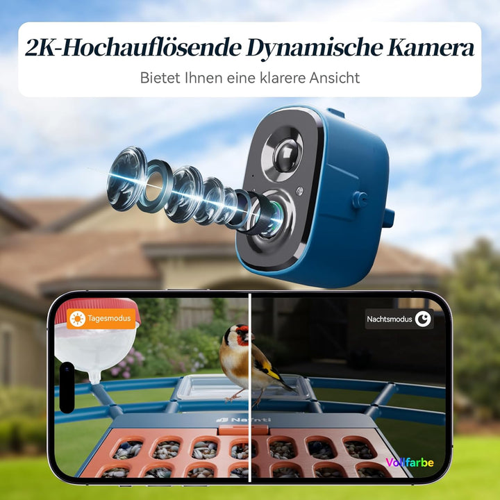 Vogelhaus mit Kamera, AI Identifizieren von Vögeln, 2,4 GHz/5 GHz, solarbetrieben, Eichhörnchensiche