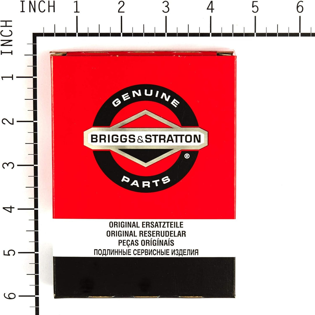 Briggs and Stratton 694056 Instandsetzungs-Set, für Vergaser in Kraftstoff-Schneckenpumpe