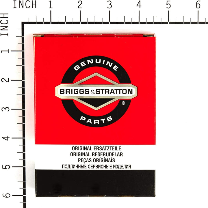 Briggs and Stratton 694056 Instandsetzungs-Set, für Vergaser in Kraftstoff-Schneckenpumpe