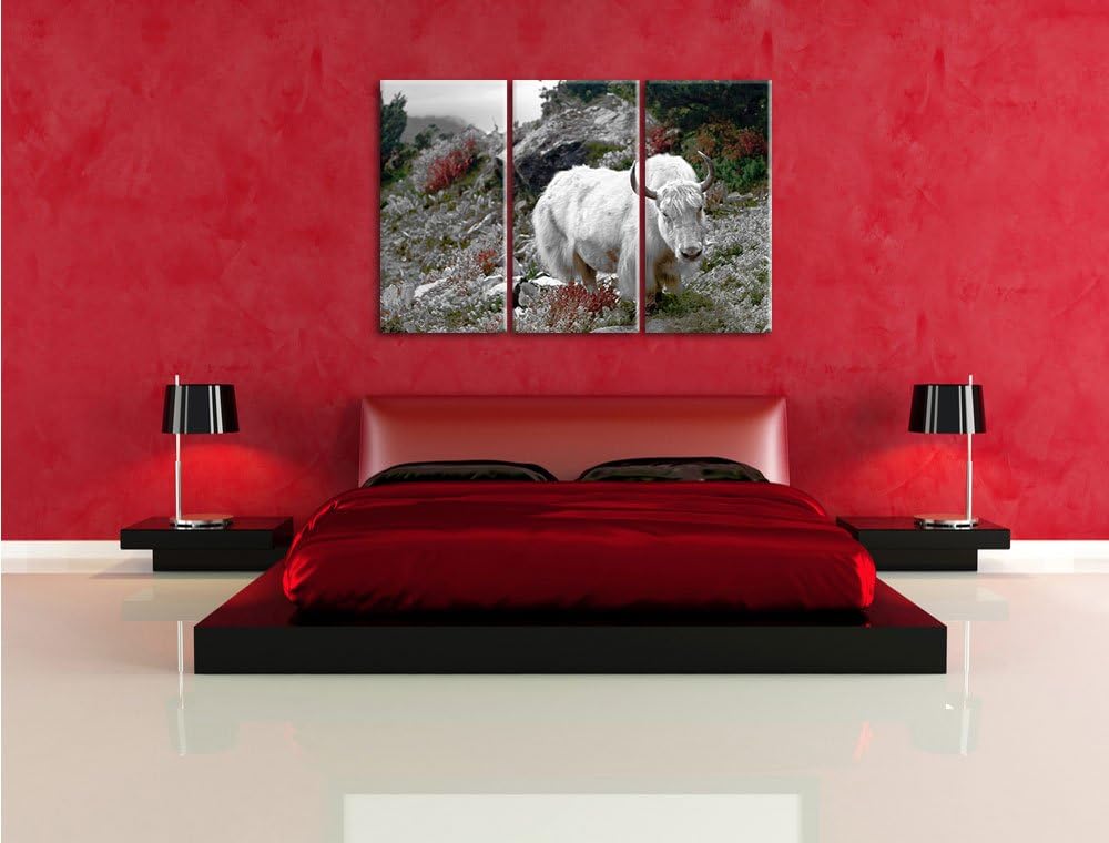 Pixxprint Schönes Yak Himalaya B&W Detail 3-Teiler Leinwandbild 120x80 Bild auf Leinwand