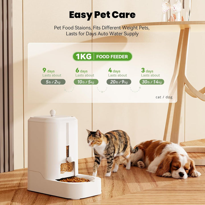 JUNSPOW Automatischer Katzenfutterspender Hundenapf Spender Set, Einstellbare Futterspender & Halten