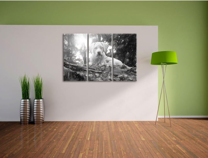 Pixxprint Hund im Wald bei Sonneuntergang / 3-Teilig/Gesamtmass 120cm Leinwandbild bespannt auf Holz