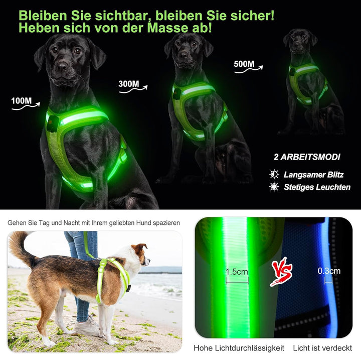 PZRLit Hundegeschirr Leuchtend, Leuchtgeschirr für Hunde Aufladbar, Leuchtendes Hundegeschirr LED, L