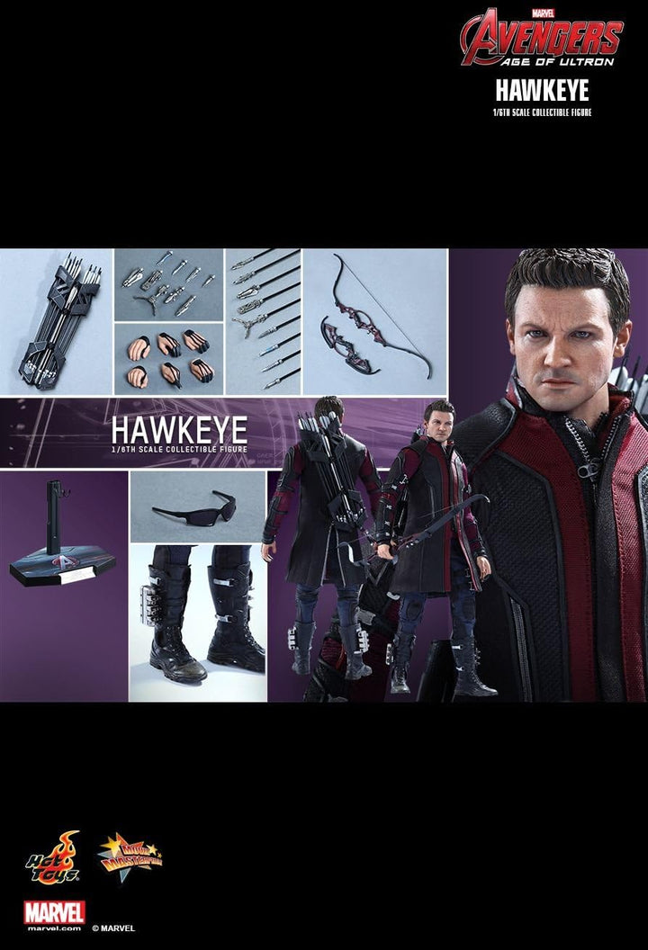 Hot Toys Avengers Age of Ultron Hawkeye Figur im Massstab 1:6