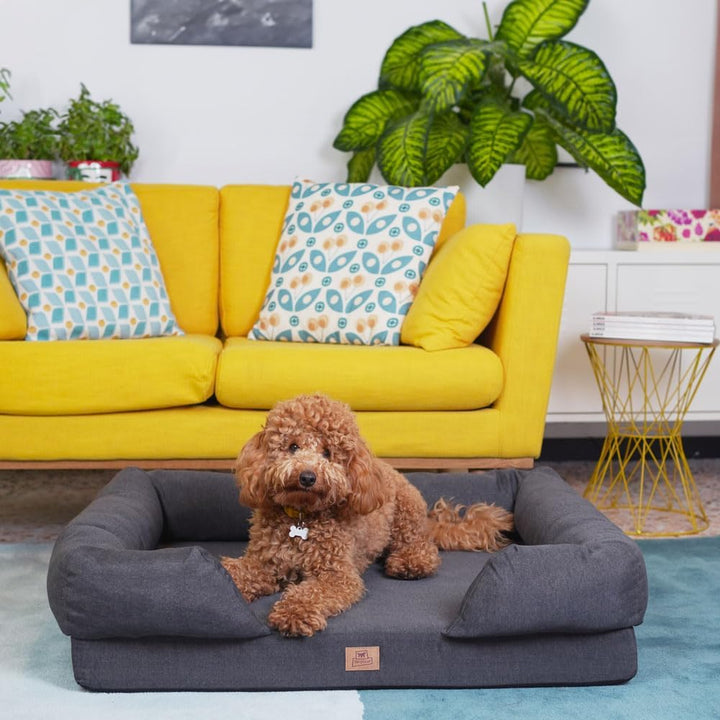 Orthopädisches Bett für Hunde MEMOR-ONE M Memory Foam, 64 x 52 x 16.5 cm, Grau Grau L 64 x B 52 x H