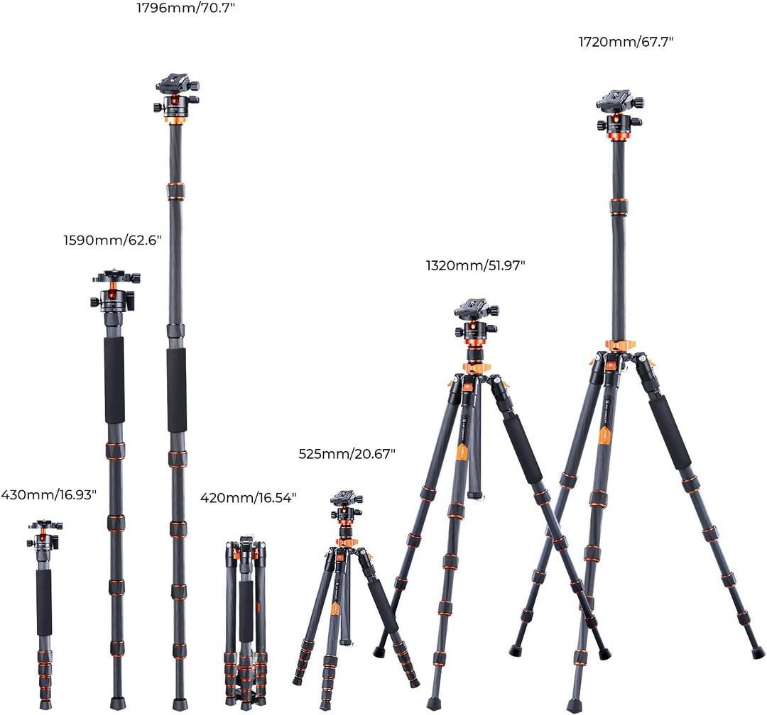 K&F Concept 172cm Carbon Stativ, D255C4(SA255C1) Kompaktes Kamera Handy Stativ, Leichtes Tripod mit