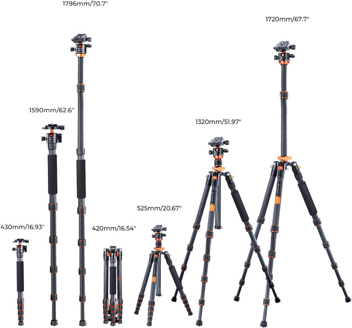 K&F Concept 172cm Carbon Stativ, D255C4(SA255C1) Kompaktes Kamera Handy Stativ, Leichtes Tripod mit