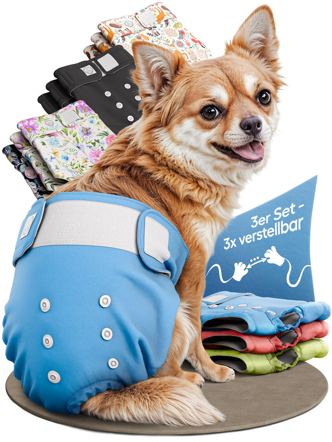 HUND IST KÖNIG Hundewindeln für Hündinnen (3 Stück) - Hochabsorbierende Läufigkeitshose für Hündinne