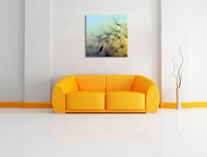 Pusteblumen mit Tautropfen, Format: 70x70 auf Leinwand, XXL riesige Bilder fertig gerahmt mit Keilra