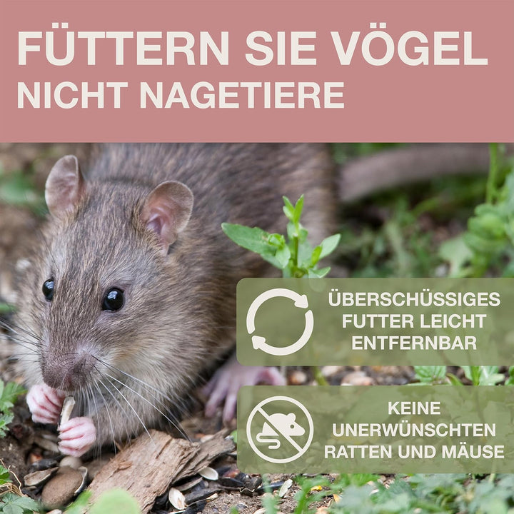 SWISSINNO Vogelfutterhaus zum Aufhängen – Lucerne SMART Birds - Meisenknödelhalter mit Auffangschale