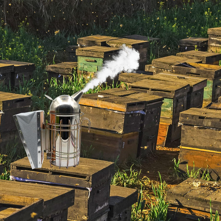 MOGOULUA 15 Stück Imker Werkzeug Set Imker Einsteiger professionelles Set Imkereizubehör Bienenbesen