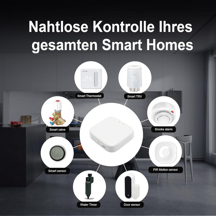 ECOBAY Dual Mode Gateway: Bluetooth und Zigbee, für Smartes Heizkörperthermostate