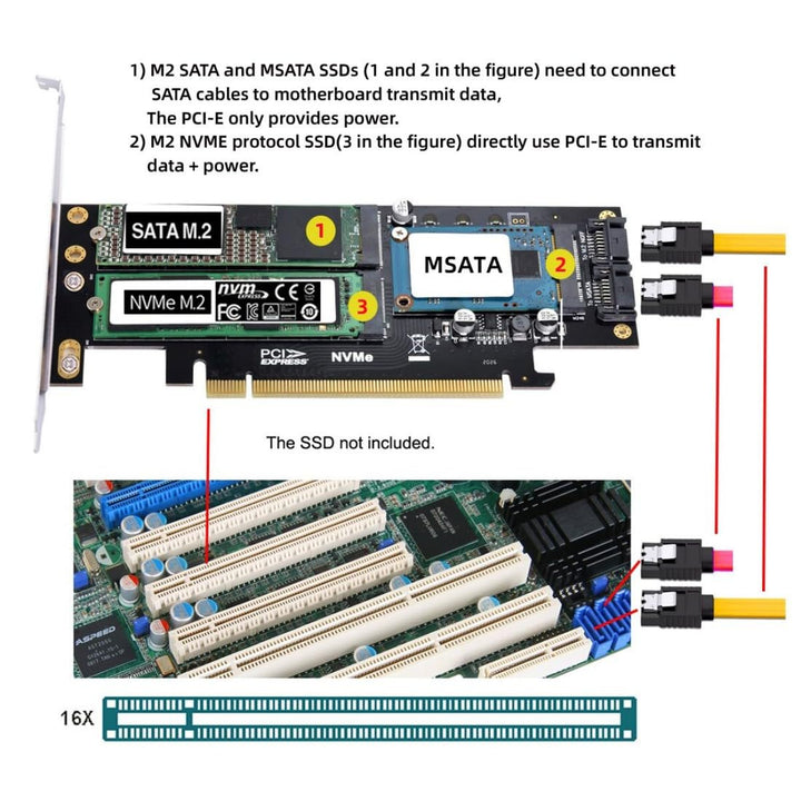 chenyang CY Dual SATA & PCI Express PCI-E 3.0 zu NGFF NVME M.2 MSATA M-Schlüssel B/M-Schlüssel SSD K