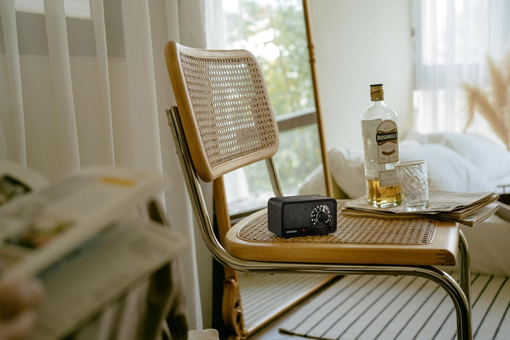 SANGEAN WR-8 – Tragbares Vintage Radio mit Bluetooth Lautsprecher, FM-Empfang, integriertem Akku, Ec