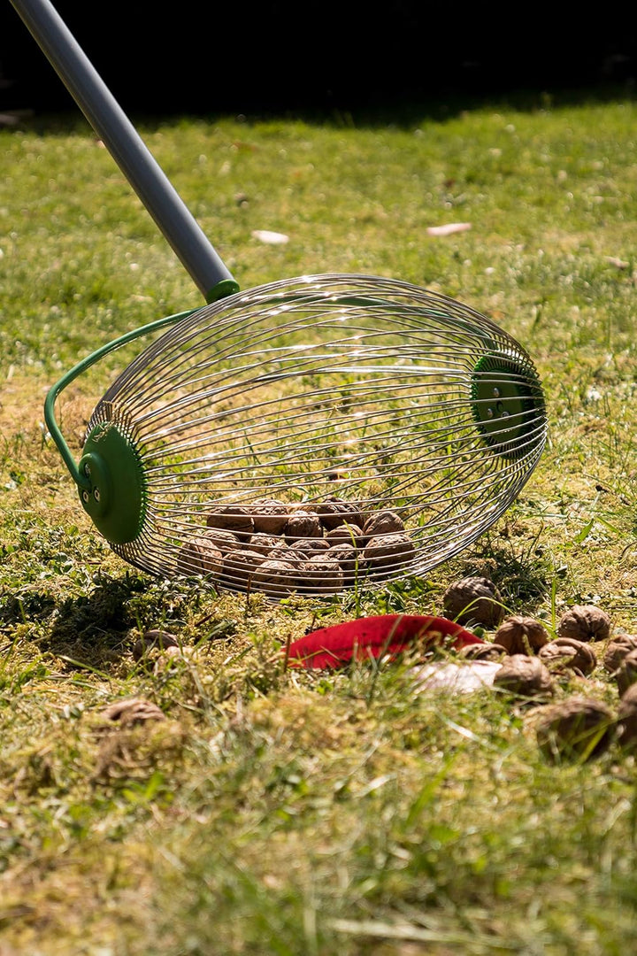 Freund-Victoria Nuss- / Obstsammler 68090 (Federstahl-Sammler, Arbeitsbreite 30 cm, Teleskopstiel 11