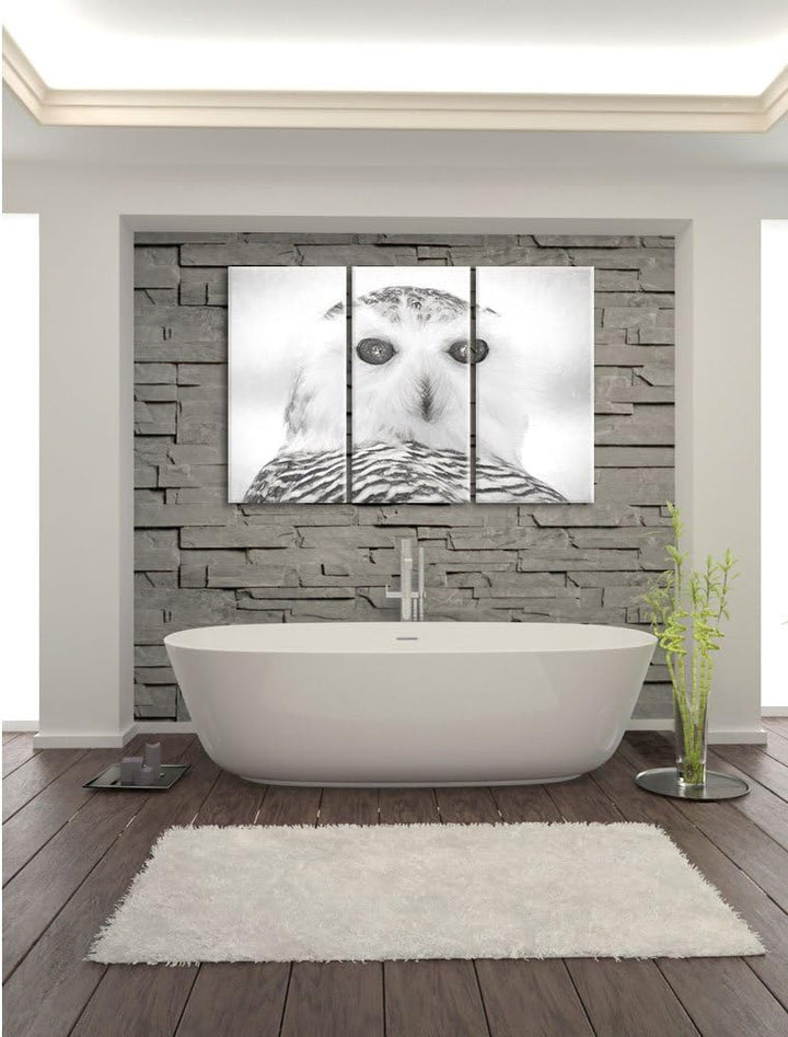 Pixxprint Schnee-Eule als Leinwandbild/Grösse: 3 Teilig (120x80) cm/Wandbild/Kunstdruck/fertig bespa
