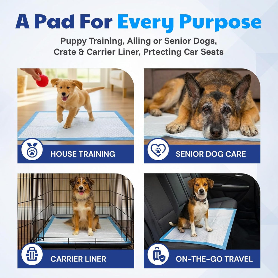American Kennel Club 50 x XL-Trainingsunterlagen, 76,2 x 71,1 cm, 50 Count - (XL 28 x 30)