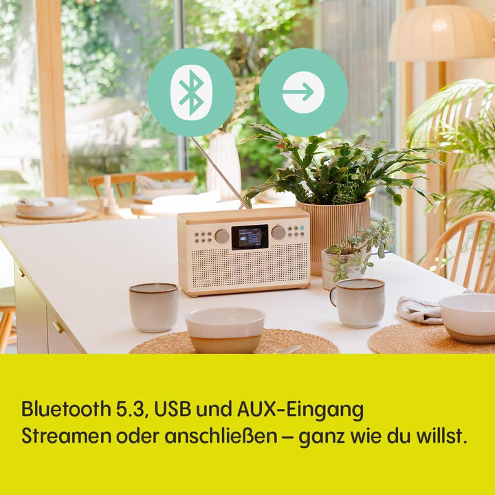 Pure Classic H6 Hi‑Fi Stereoanlage und Musikanlage mit DAB+ UKW Radio Bluetooth 5.3 USB‑A & AUX 2,4"