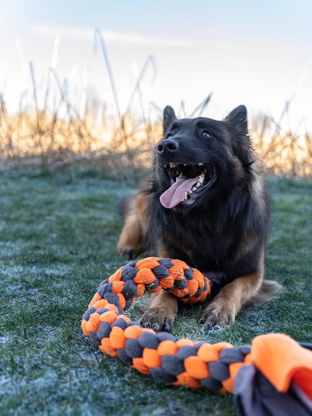 TrendPet Zergel, Zerrspielzeug, Spielzeug für Hunde (6,0x60cm), 6,0x60cm