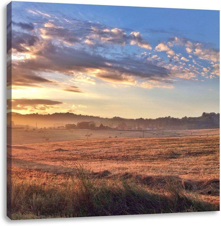 Getreidefeld im Abendlicht, Format: 70x70 auf Leinwand, XXL riesige Bilder fertig gerahmt mit Keilra
