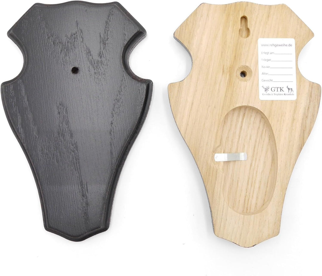 5 Stück REH Bock Schild Trophäenschilder mit 1 Kieferfach in Eiche dunkel