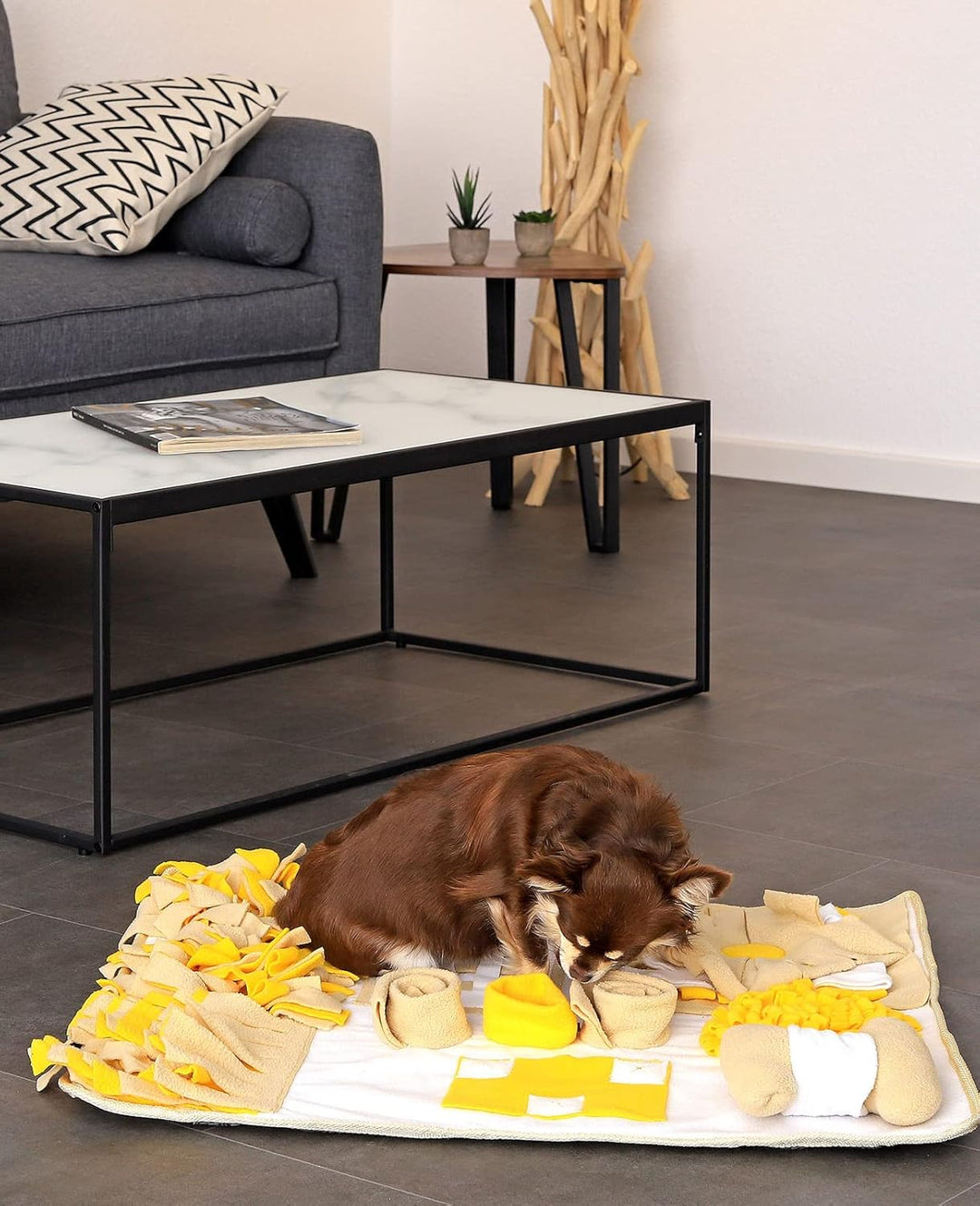 lionto Schnüffelteppich für Hunde und Katzen, Suchmatte zum Stressabbau und zur Konzentrationsförder