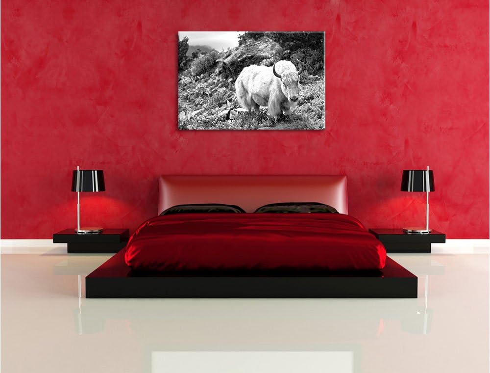 Pixxprint Schönes Yak Himalaya Kunst B&W als Leinwandbild/Grösse: 100x70 cm/Wandbild/Kunstdruck/fert