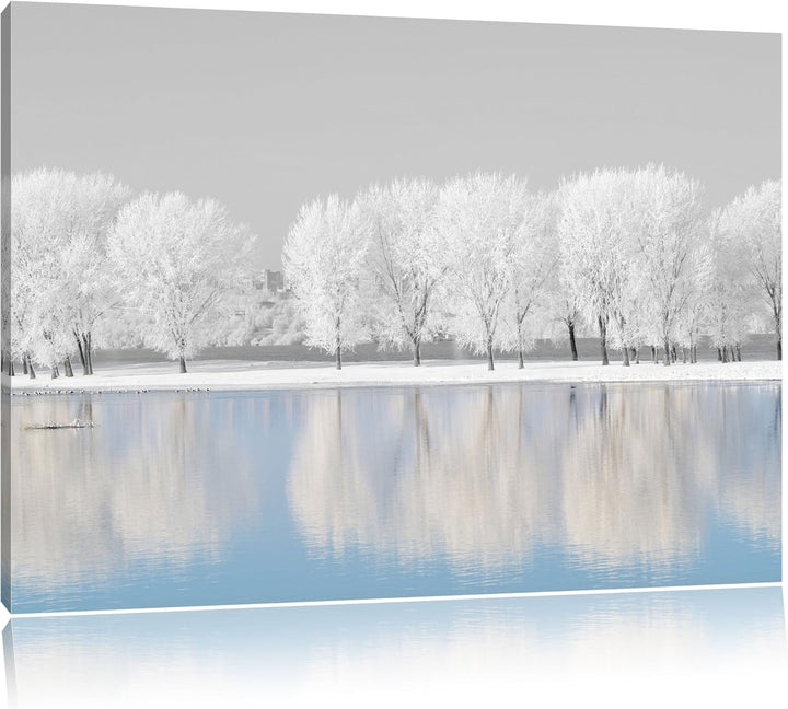 schneebedeckte Bäume an einem See schwarz/weiss Format: 100x70 auf Leinwand, XXL riesige Bilder fert