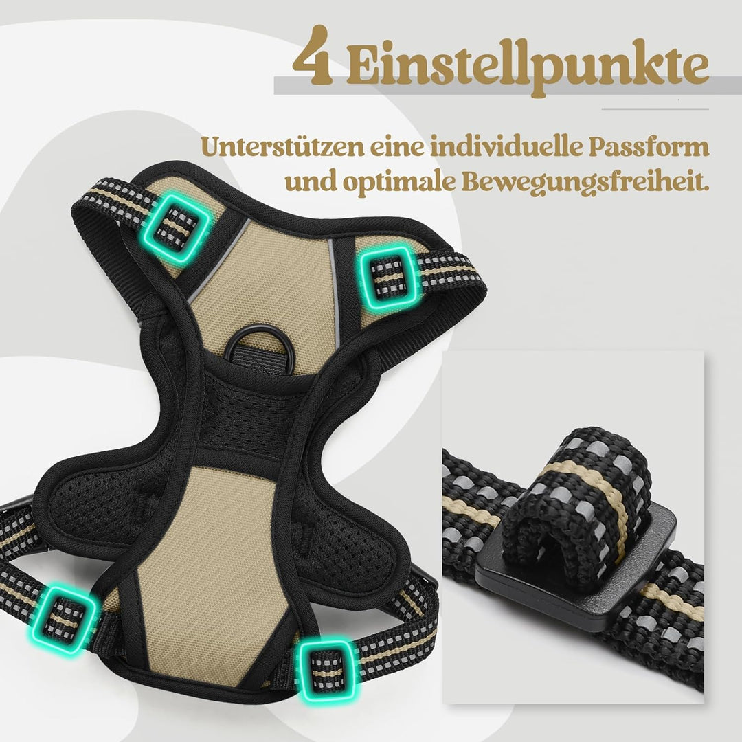 rabbitgoo Hundegeschirr Kleine Hunde, Anti Zug Geschirr mit Kontrolle, No Pull Verstellbar Hundegesc