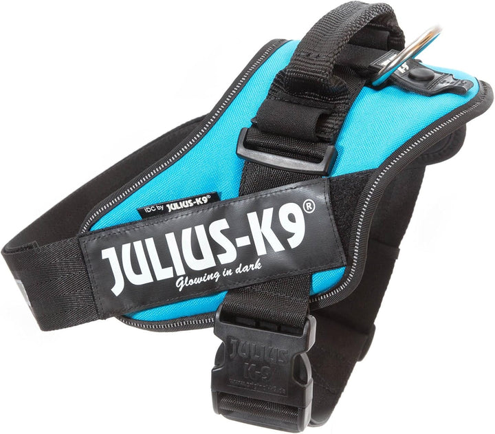 JULIUS K-9 IDC Powerharness für Hunde mit zwei kostenlosen individuellen Patches, Aquamarin, Grösse