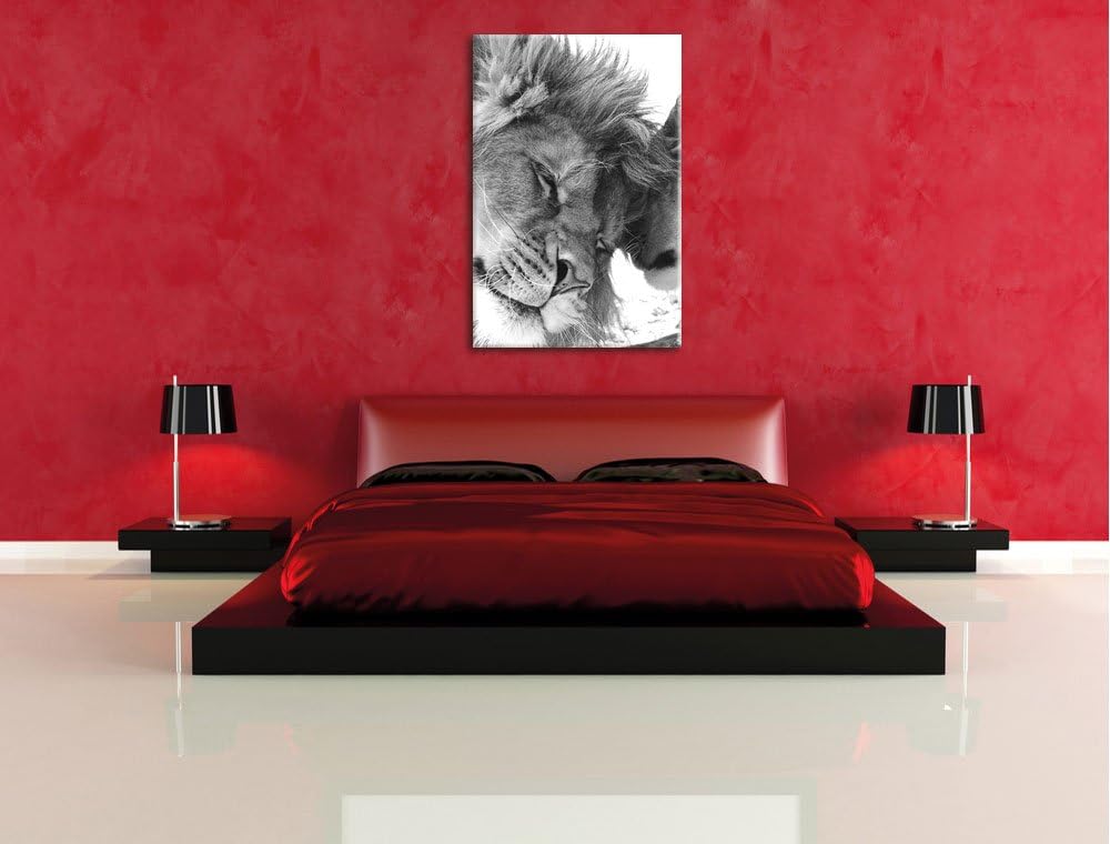 Pixxprint Bezauberndes kuschelndes Löwenpaar als Leinwandbild/Grösse: 100x70 / Wandbild/Kunstdruck/f