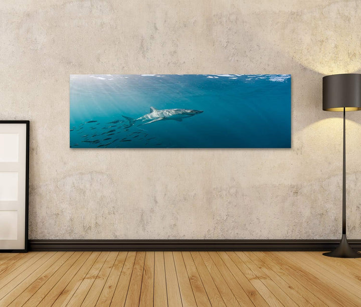 islandburner Bild auf Leinwand Grosser Weisser Hai Und Fischschwarm Bilder Wandbilder Poster Leinwan