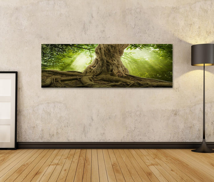 islandburner Bild auf Leinwand Grosse Baumwurzeln Und Sonnenstrahlen Im Grünen Wald Bilder Wandbilde