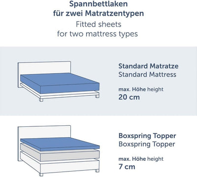 Blumtal® Spannbettlaken 200x200cm Basics Jersey im 2er Set - Bettbezug 200x200 cm aus 100% Baumwolle