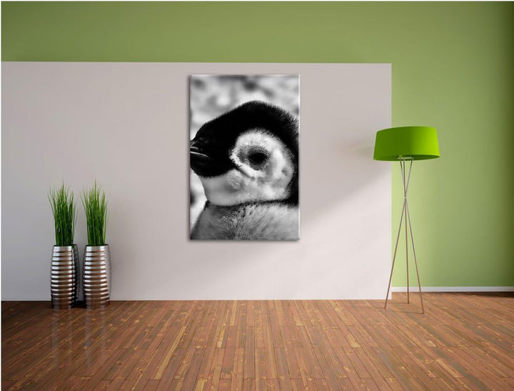 Pixxprint DREI Kaiserpinguin-Küken als Leinwandbild | Grösse: 100x70 cm | Wandbild | Kunstdruck | fe