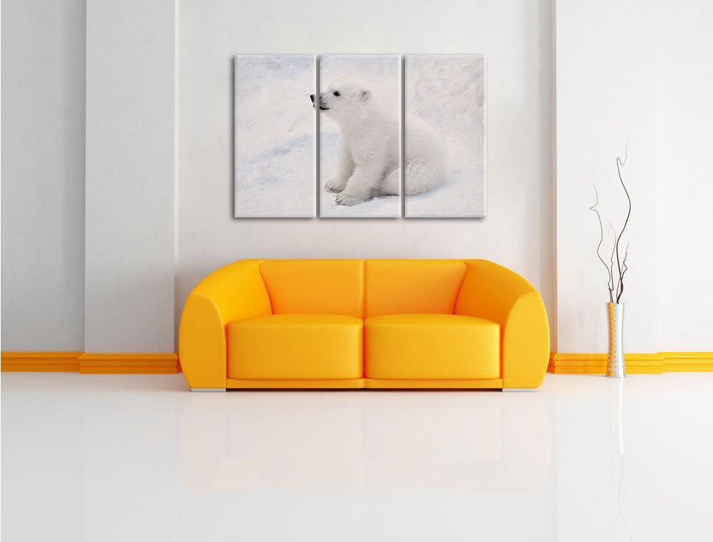 Pixxprint niedliches Eisbär Baby als Leinwandbild - Grösse: 3-Teilig (120x80cm) - Wandbild - Kunstdr