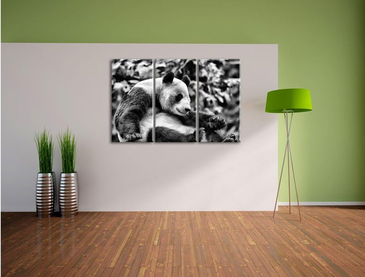 Pixxprint Monocrome, niedlicher Pandabär 3-Teiler Leinwandbild 120x80 Bild auf Leinwand